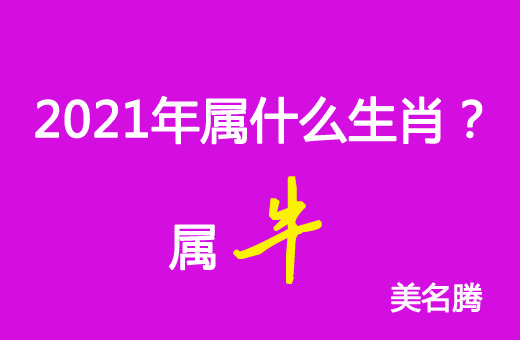 2021年屬什么生肖？2021年屬牛
